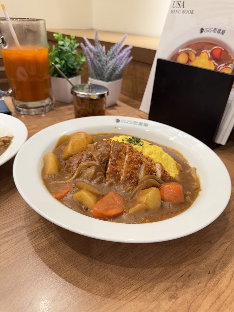 Chicken Cutlet Omelet