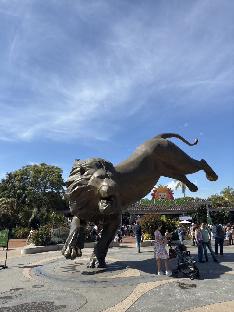 A large lion statue stands in front of the entrance to the San Diego Zoo, with people and strollers visible nearby under a clear blue sky.