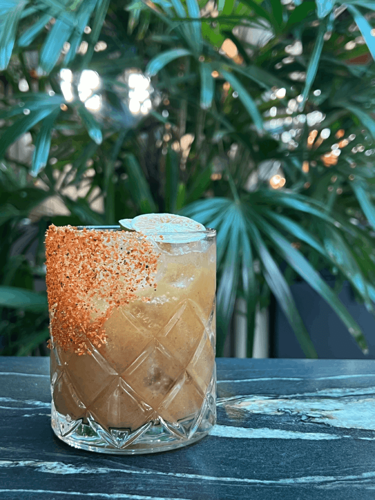 A cocktail in a glass with a spiced rim and a dried citrus garnish, set against a background of lush green foliage.