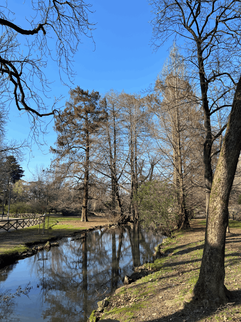 A serene park scene with a calm stream reflecting bare trees and a bright blue sky, surrounded by grass and a wooden fence.