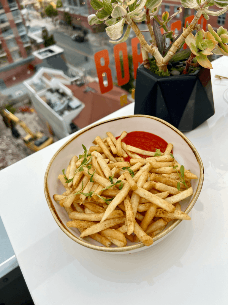 A bowl of seasoned French fries with ketchup, garnished with fresh herbs, sits on an outdoor table next to a potted succulent plant.
