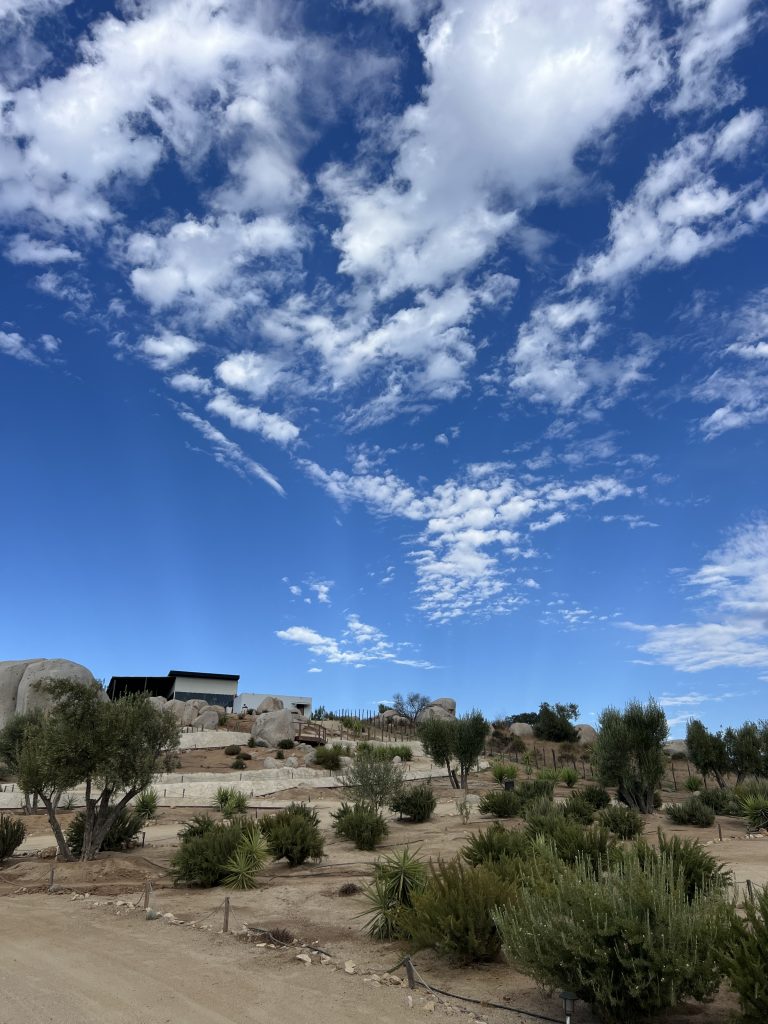 Desert landscape with large boulders, sparse vegetation, and a clear blue sky with scattered clouds.