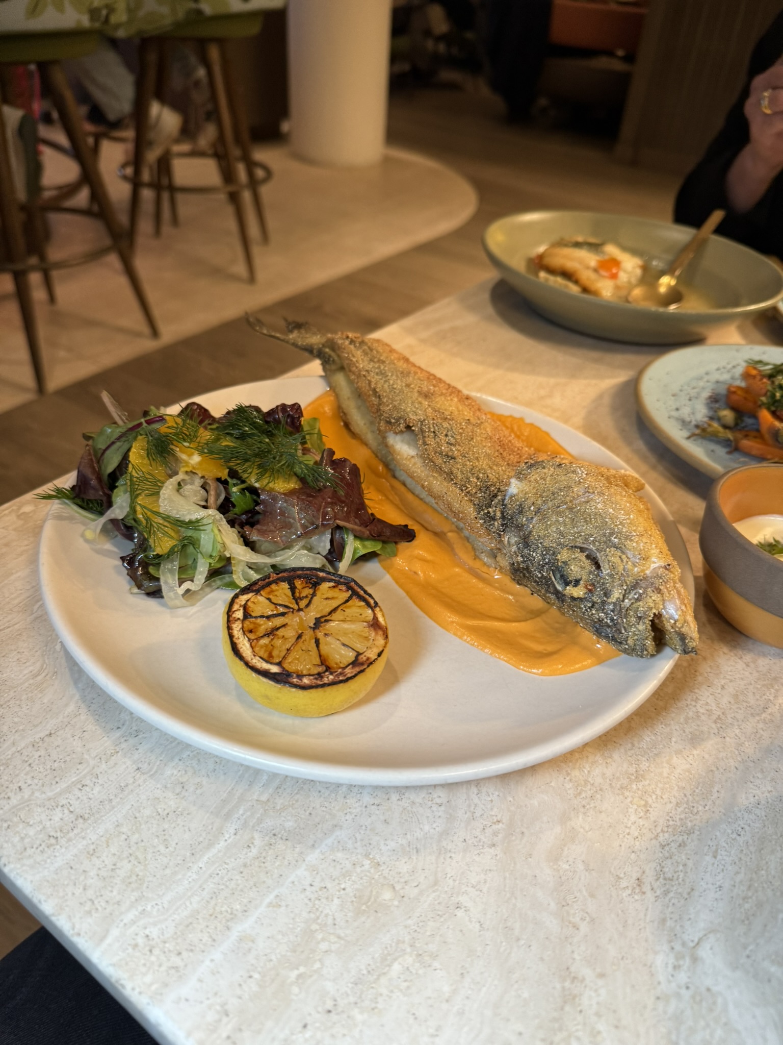paradisaea restaurant