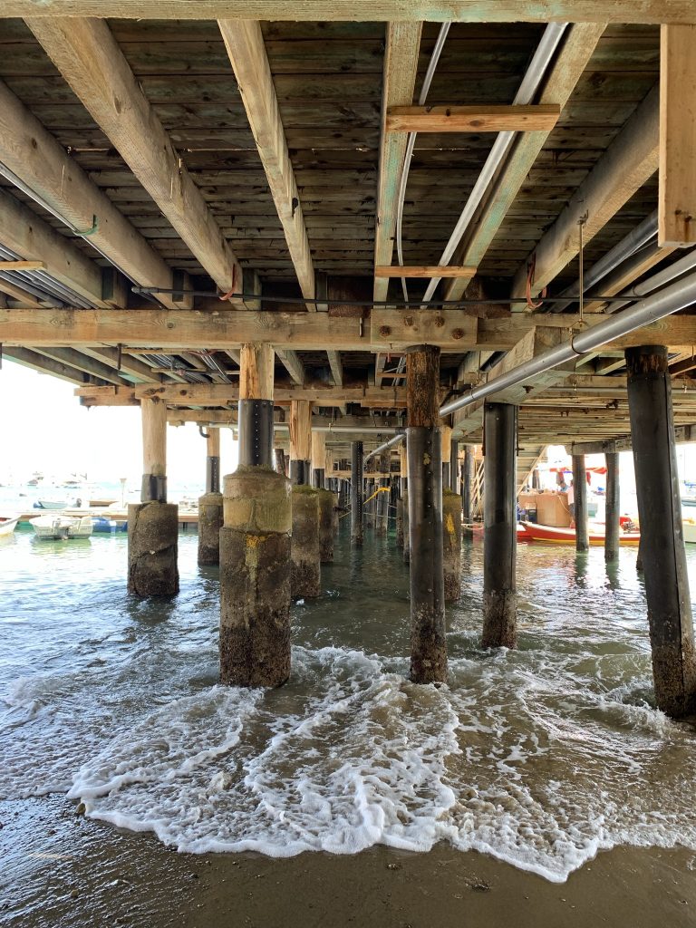 Catalina Island tips