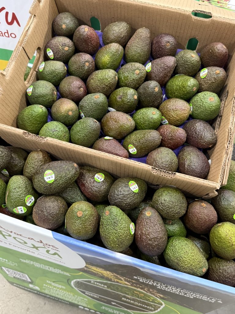 san diego guacamole